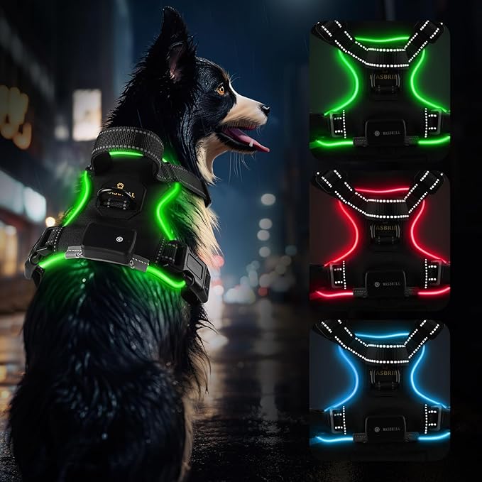 Arnés Reflectante con Luces LED – Seguridad y estilo para tu perro