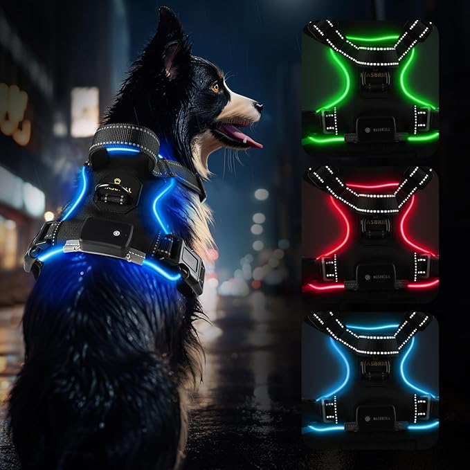 Arnés Reflectante con Luces LED – Seguridad y estilo para tu perro