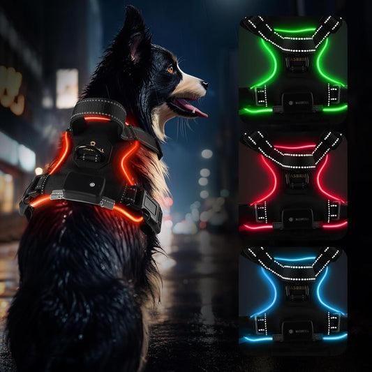Arnés Reflectante con Luces LED – Seguridad y estilo para tu perro